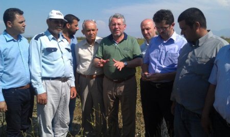 Milletvekili Yüksel, Doludan Zarar Gören Tarlaları İnceledi