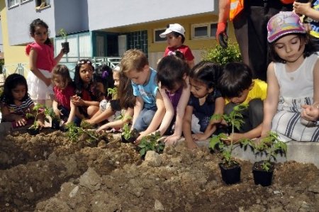 Minik çiftçiler iş başında