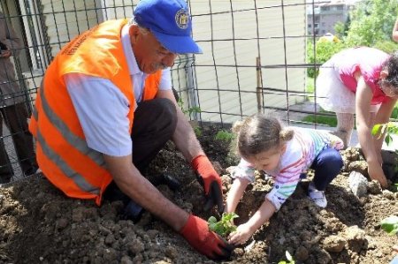 Minik çiftçiler iş başında