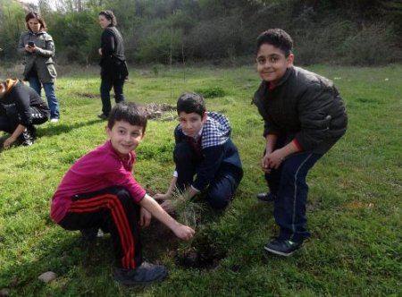 Minik eller, fidan dikti