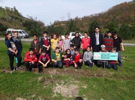 Minik eller, fidan dikti