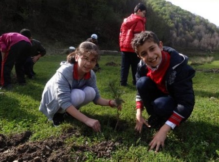 Minik eller, fidan dikti