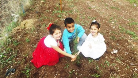 Minik elleriyle binlerce ağaca can verecekler