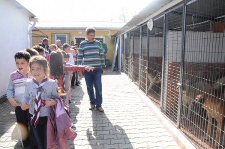 Minik izciler hayvan barınağını gezdi