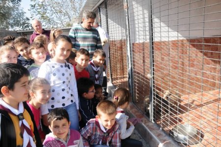 Minik izciler hayvan barınağını gezdi