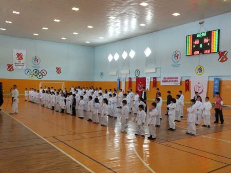 Minik karateciler kemer sınavında ter döktü