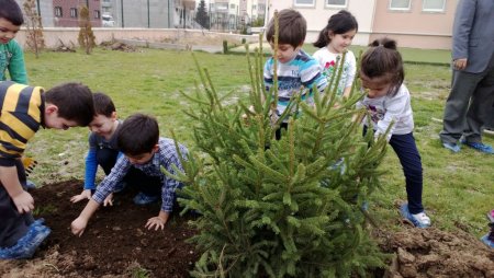 Miniklerin de dikili ağacı oldu