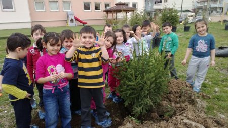 Miniklerin de dikili ağacı oldu