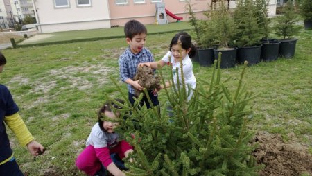 Miniklerin de dikili ağacı oldu