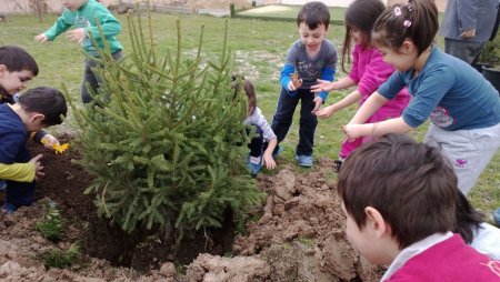 Miniklerin de dikili ağacı oldu