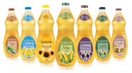 Mısır Yağı İhracatçısı Elita Gıda, İso 500 Listesine Girdi