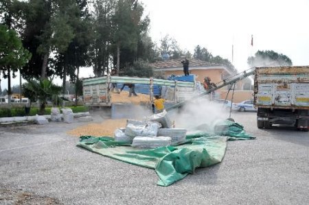 Mısır Yüklü Kamyonette Kaçak Sigara Ele Geçirildi