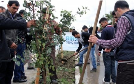 MKÜ'de Kutlu Doğum Ormanı oluşturuldu