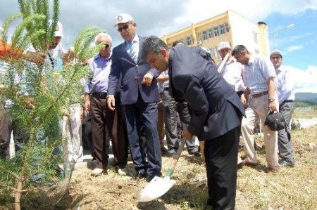 Mkü'lü Öğrenciler Üniversite Yerleşkesine Ağaç Dikti