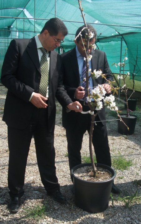 ‘mobil Meyvecilik’ Projesi İle Hem Kalite Hem De Gelir Artacak