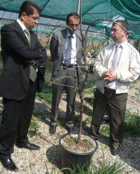 ‘mobil Meyvecilik’ Projesi İle Hem Kalite Hem De Gelir Artacak