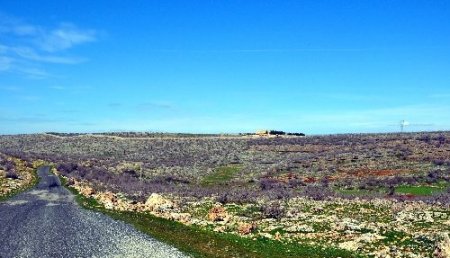 Mor Gabriel Manastırı'nın yolu genişletilecek