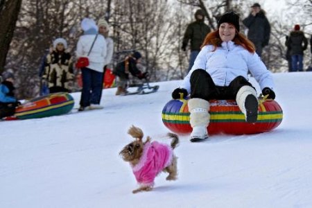 Moskova Belediyesi 'kara Müdahale' Programını Erteledi