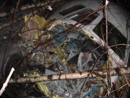 Moskova'da Ormana İnen Uçak, Üç Parça Oldu