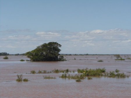 Mozambik'te sel Türk çiftçiyi de vurdu: Halk ot ve böcek yiyor (Özel)
