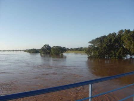 Mozambik'te sel Türk çiftçiyi de vurdu: Halk ot ve böcek yiyor (Özel)