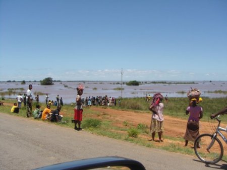 Mozambik'te sel Türk çiftçiyi de vurdu: Halk ot ve böcek yiyor (Özel)