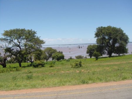 Mozambik'te sel Türk çiftçiyi de vurdu: Halk ot ve böcek yiyor (Özel)
