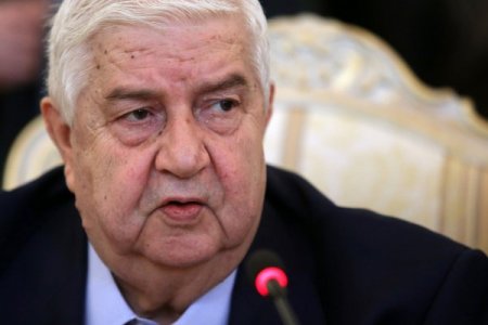 Muallim: Suriye muhalefetinin yanında 28 ülkeden militan savaşıyor