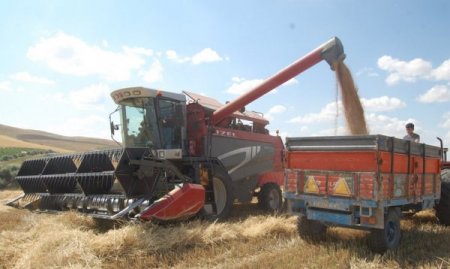 Müfit Bey'den Yüksek Verim Alındı