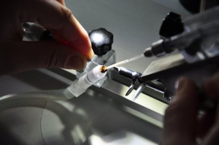 Muğla arısının ırkı ıslah projesi ile korunuyor