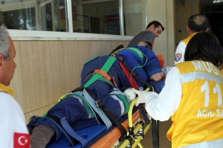 Muğla Belediyesi temizlik işçisine araba çarptı