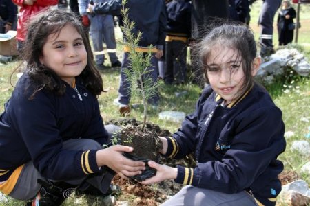 Muğla Özel Piri Reis İlköğretim Okulu Hatıra Ormanı Kuruyor