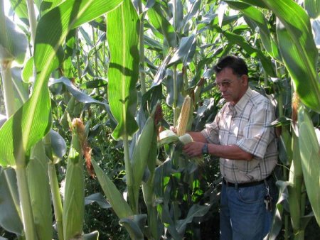 Muğla tarım üretimiyle ülke ekonomisine 3 milyon liralık katkı sağlıyor