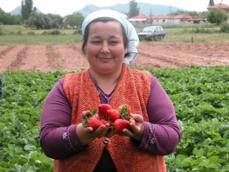 Muğla tarım üretimiyle ülke ekonomisine 3 milyon liralık katkı sağlıyor