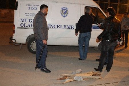 Muğla Üniversitesi’nde öğrenciler arası kavga