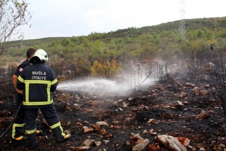 Muğla'da 10 dönüm çalılık yandı