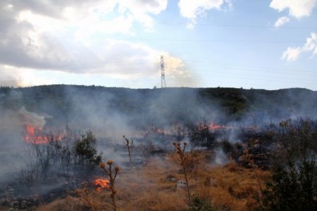 Muğla'da 10 dönüm çalılık yandı