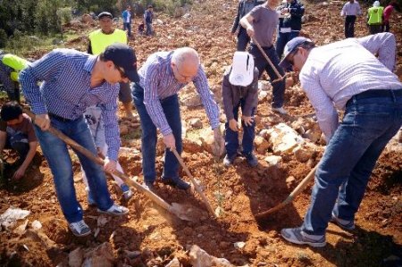 Muğla’da doktorlar 2 bin fidan dikti