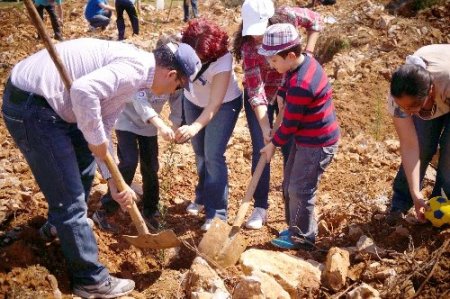 Muğla’da doktorlar 2 bin fidan dikti