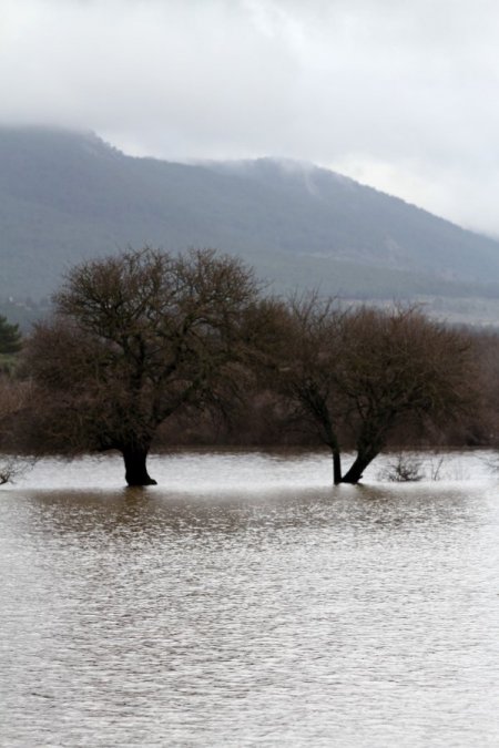 Muğla'da evleri ve tarım arazilerini su bastı