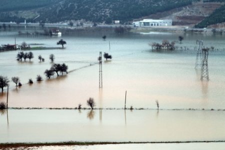 Muğla'da göle dönen tarlalarda hasar tespit çalışmasına başlandı