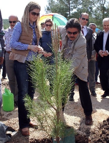 Muğla’da Gönül Elçileri Hatıra Ormanı oluşturuldu