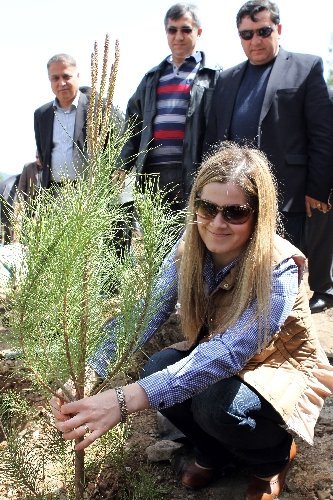 Muğla’da Gönül Elçileri Hatıra Ormanı oluşturuldu