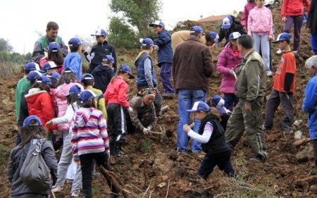 Muğla'da Minik Eller Fidan Dikti