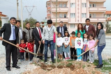 Muğla’da minik öğrenciler fidan dikti