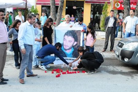 Muğla'da Şerzan Kurt Gerginliği