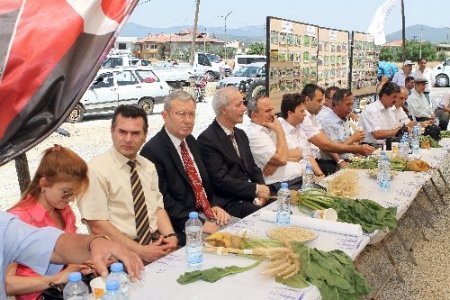Muğla’da Toprak Bayramı kutlandı