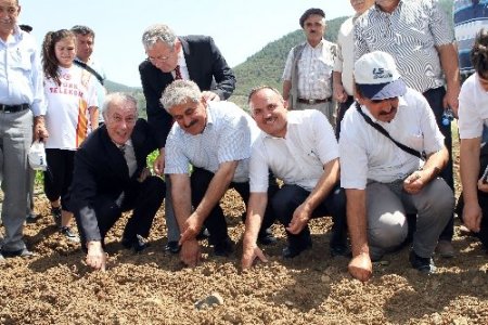 Muğla’da Toprak Bayramı kutlandı