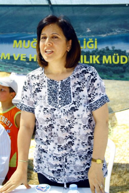 Muğla'da Yerli Patates Üretimine Başlandı