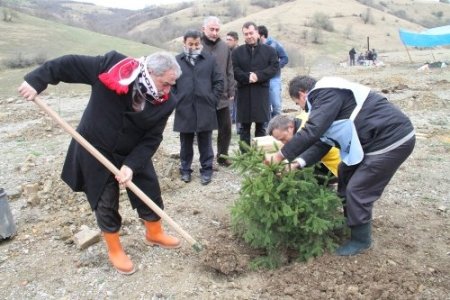 Muhsin Yazıcıoğlu Hatıra Ormanı'na fidan diktiler